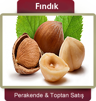 findik