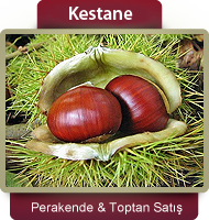 kestane