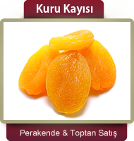 kuru kayisi